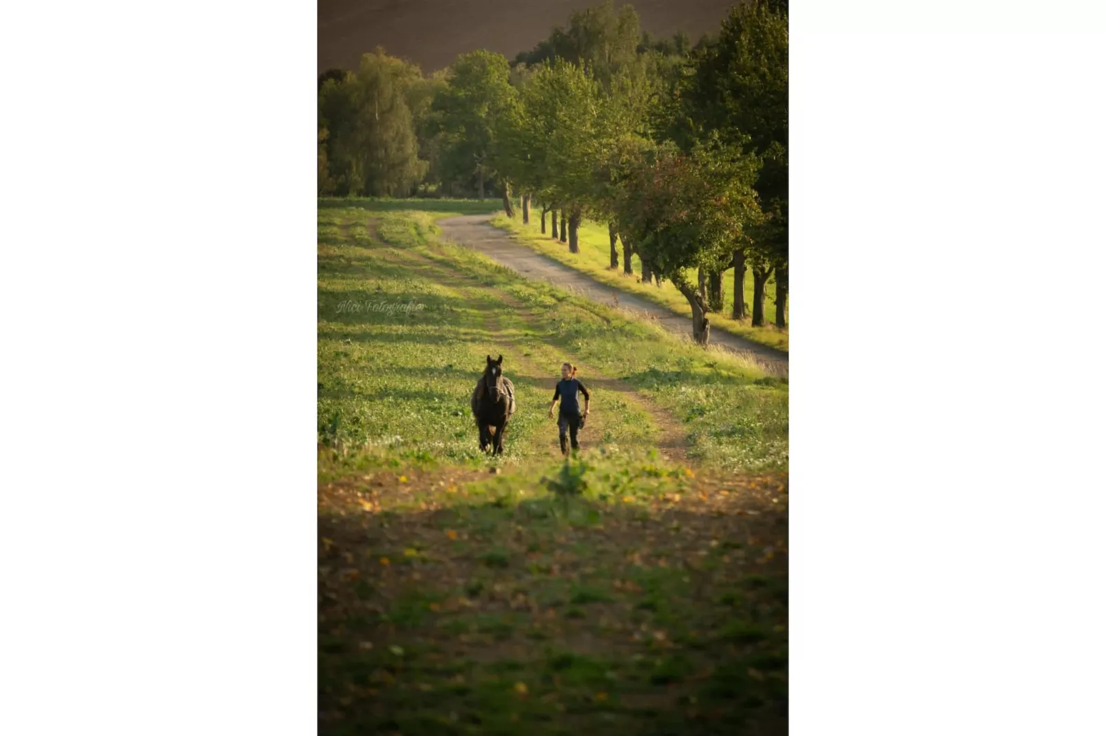 TH3 1P 40€(5) Schulz - Zones été à 1 km