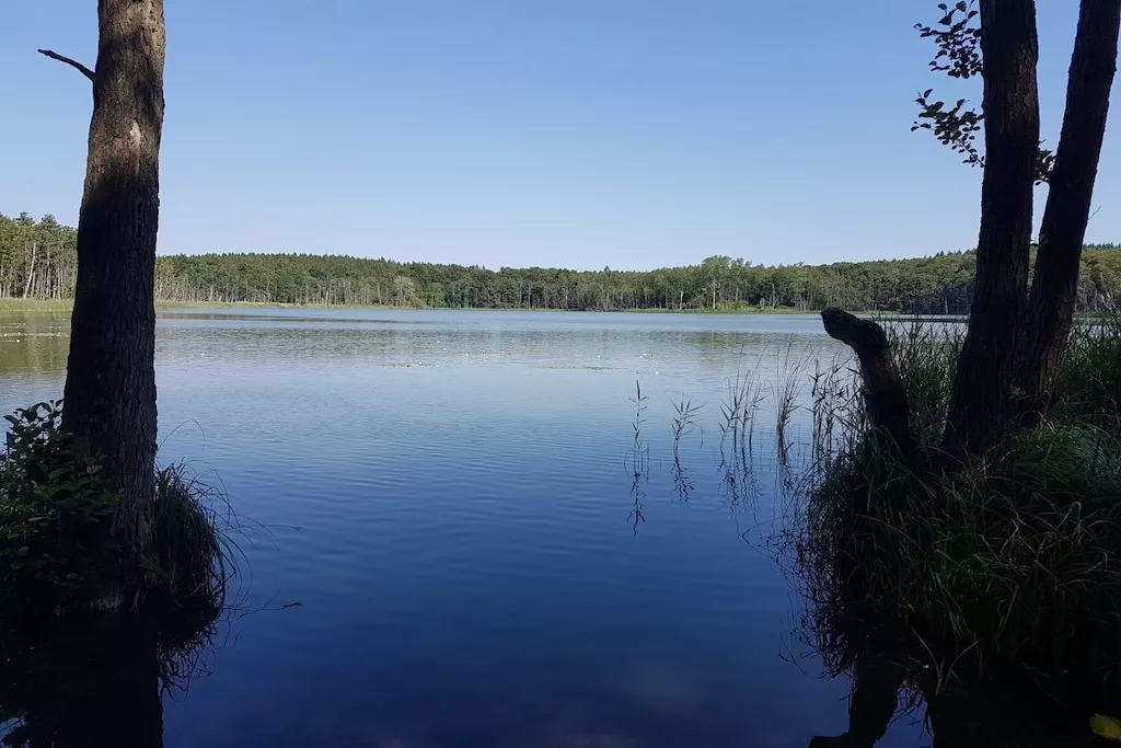 51141 - Nicht zugeordnet