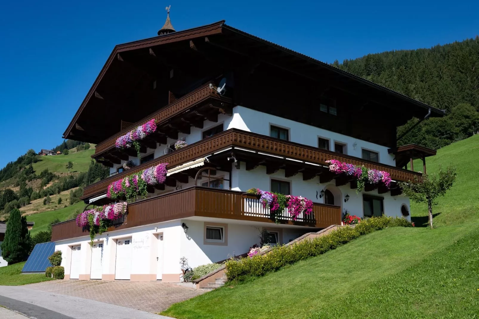 Waldrand-Exterior summer