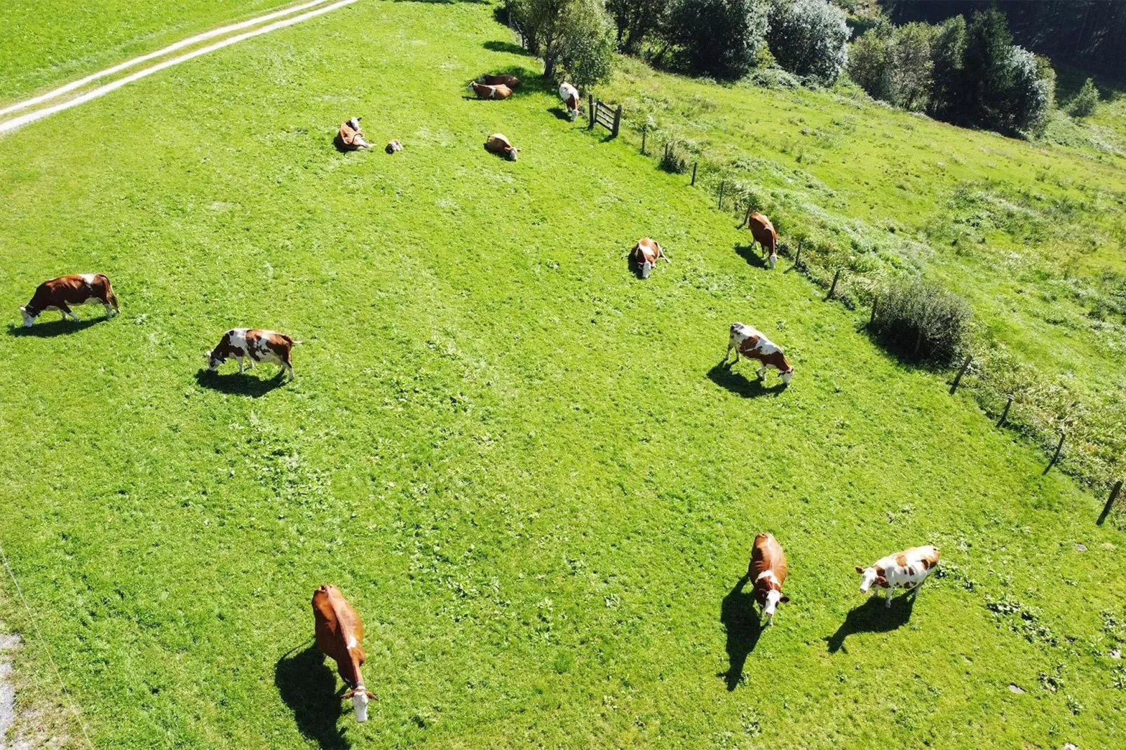 Bergliebe-View summer