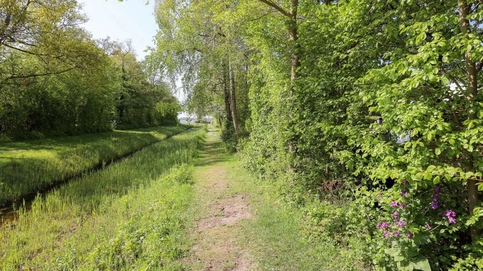 Zilte Iep - Areas within 1km in summer