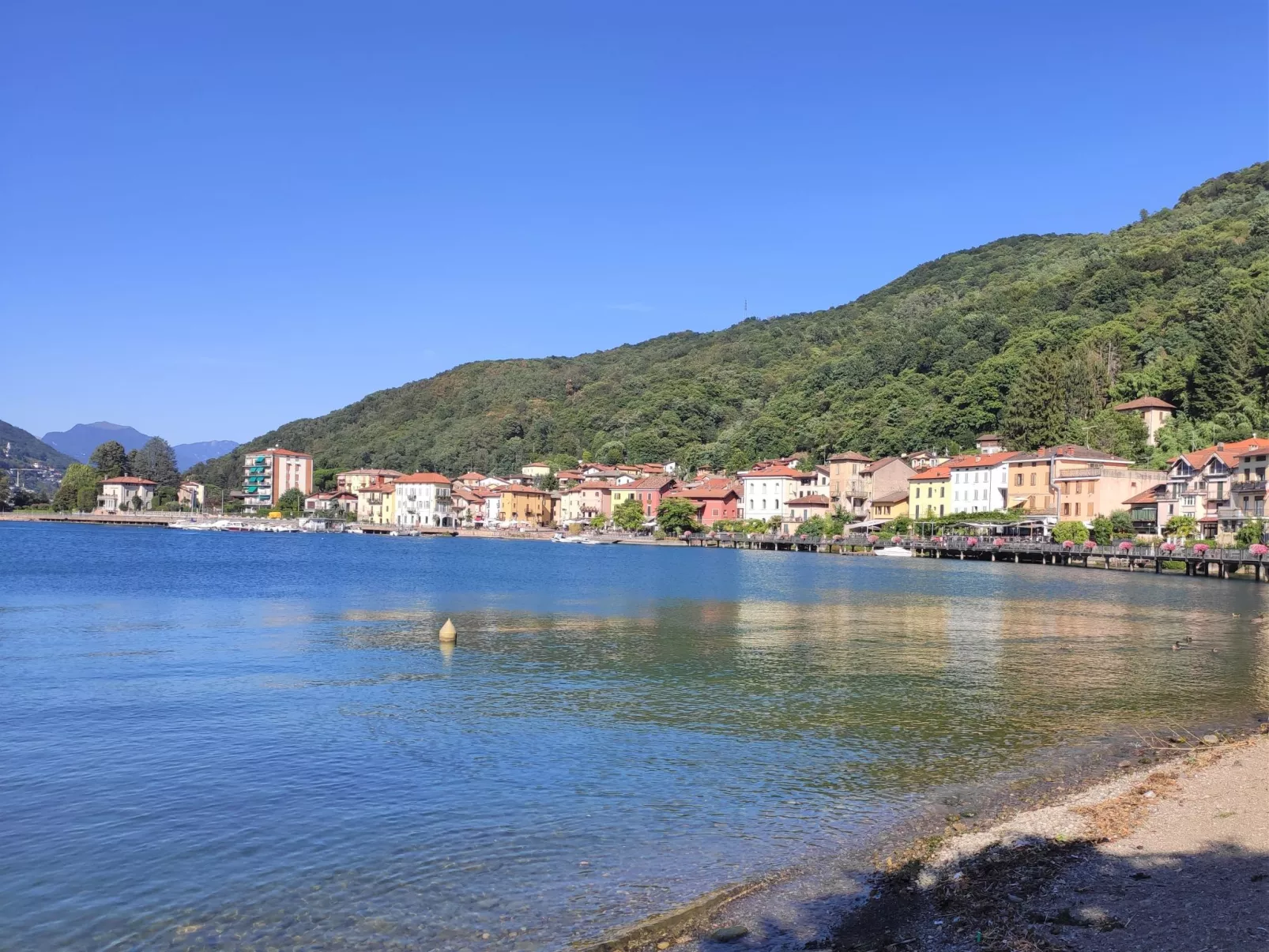 Olli - Environnement