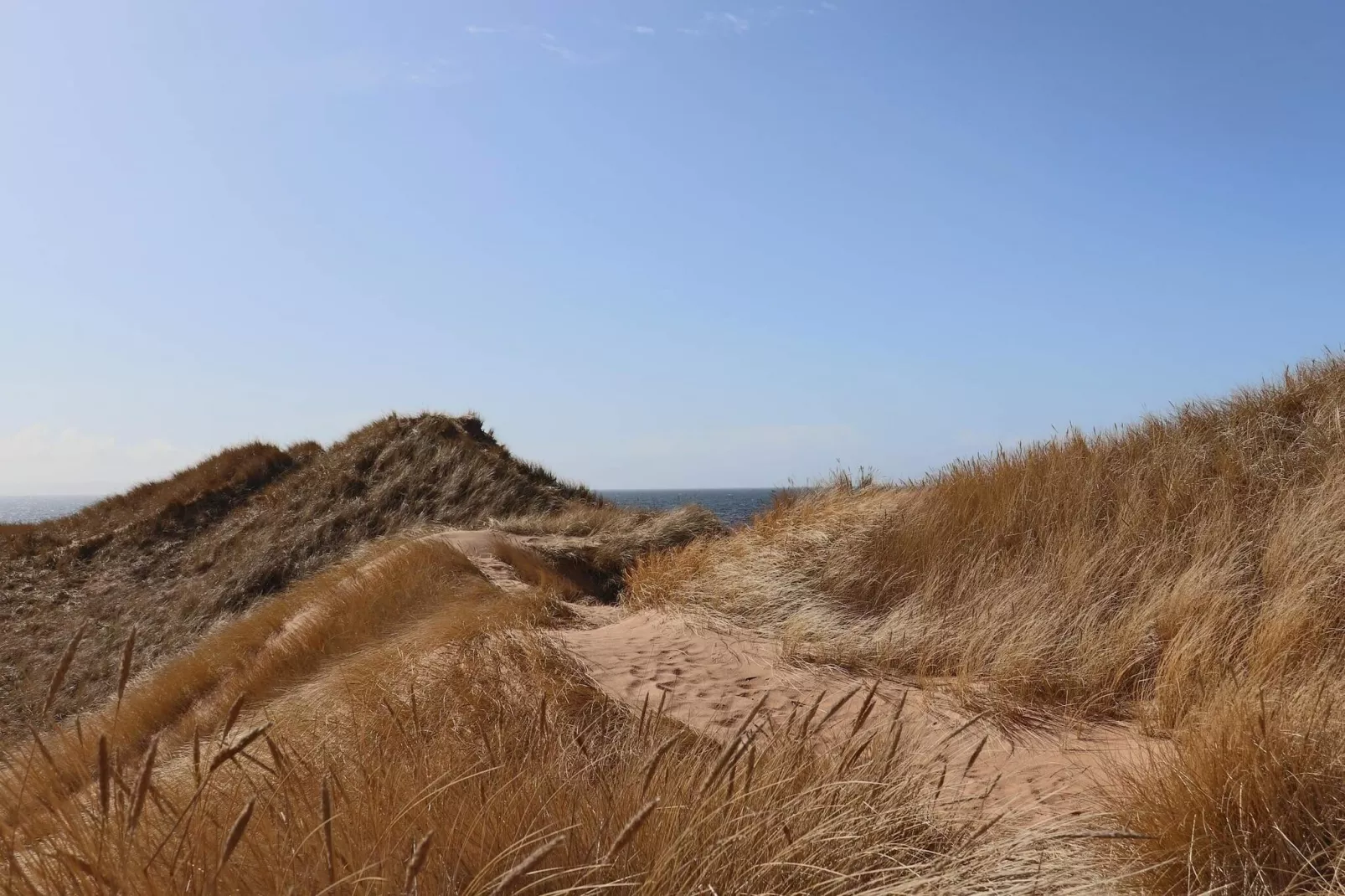 4 etoiles maison de vacances a ELDSBERGA - Non tagué