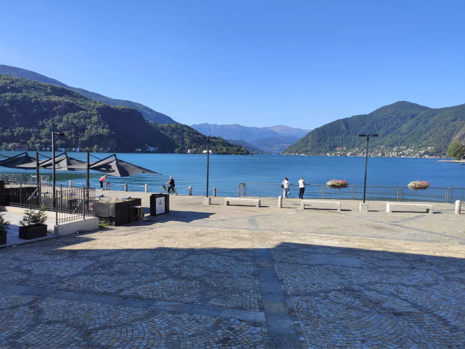 Olli - Environnement