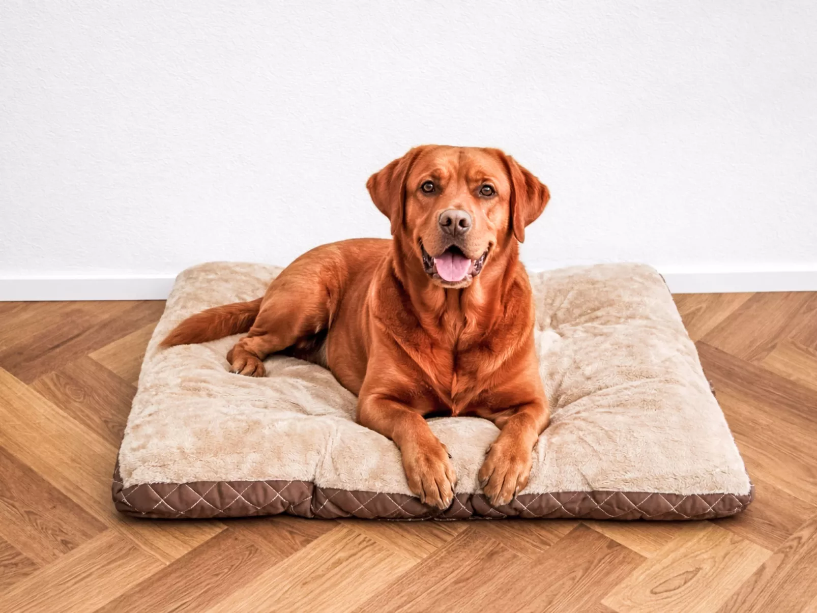 Haus zum Hecht - Drinnen