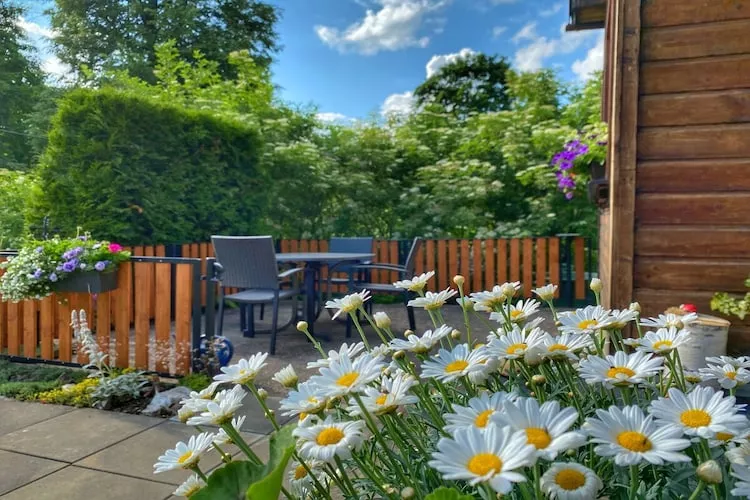 311181 - Terrasse