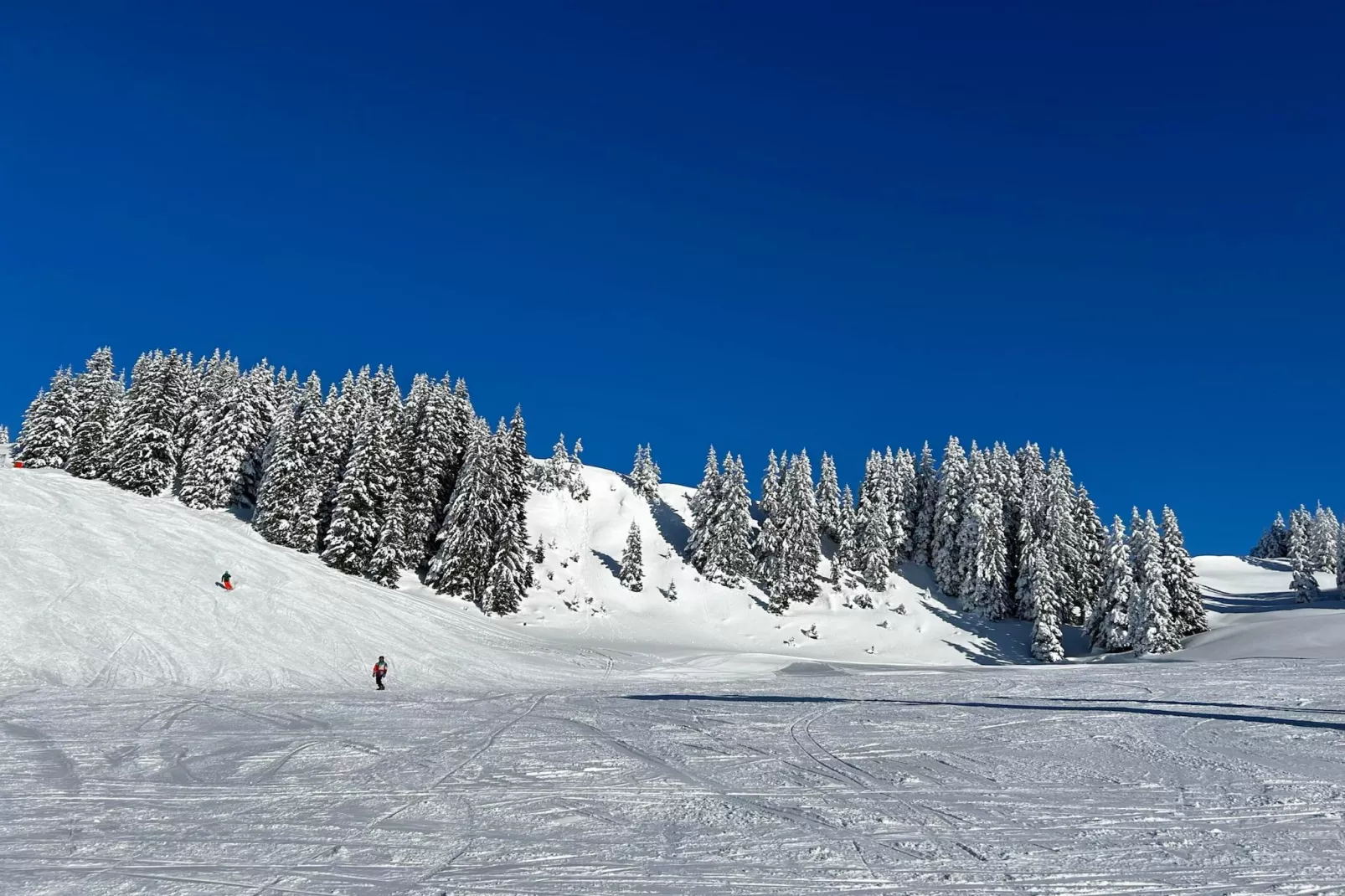 Genieten in Saalbach Top D1 - Gebiet Winter 5 km