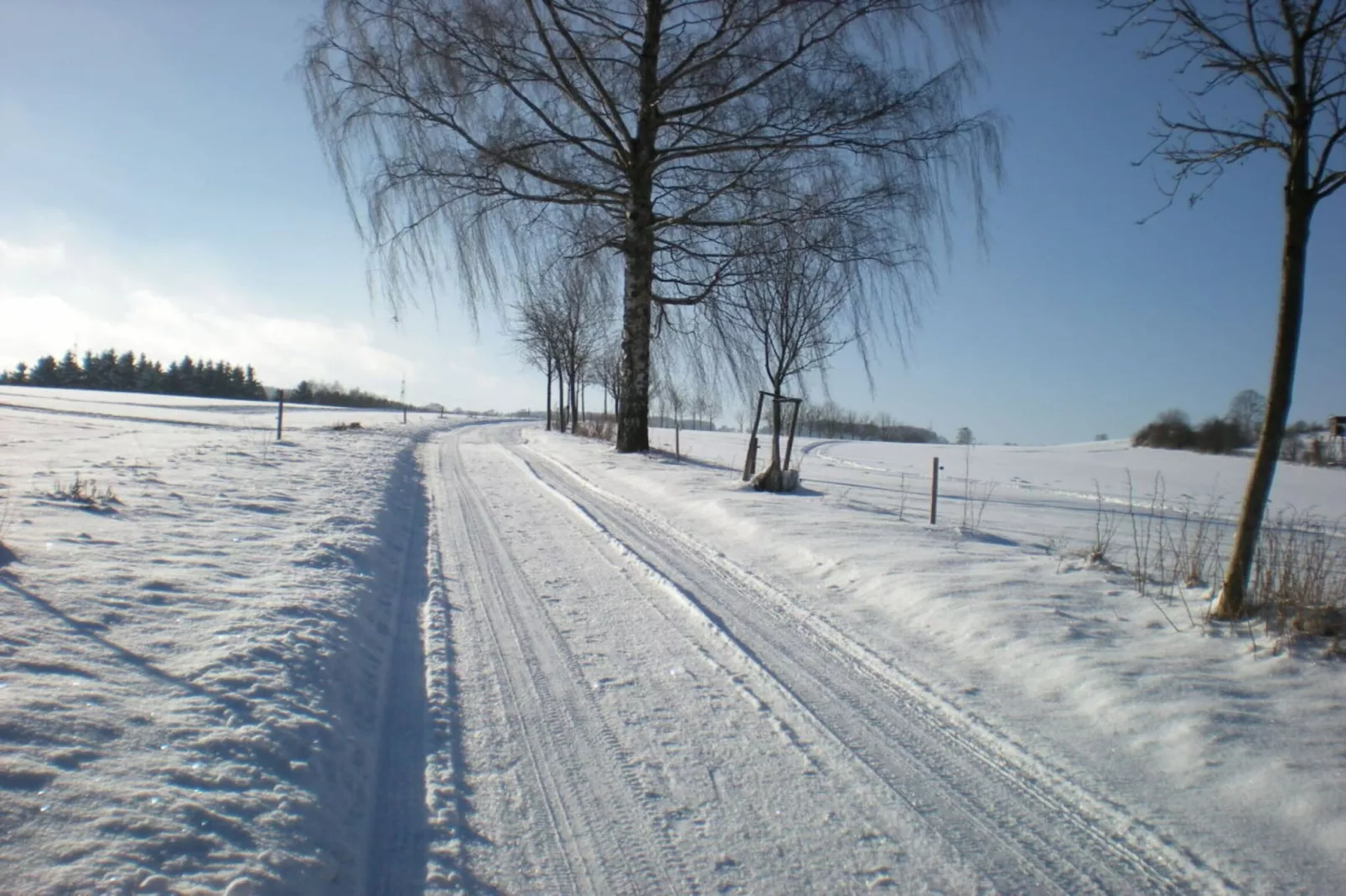 311181 - Gebiet Winter 1 km