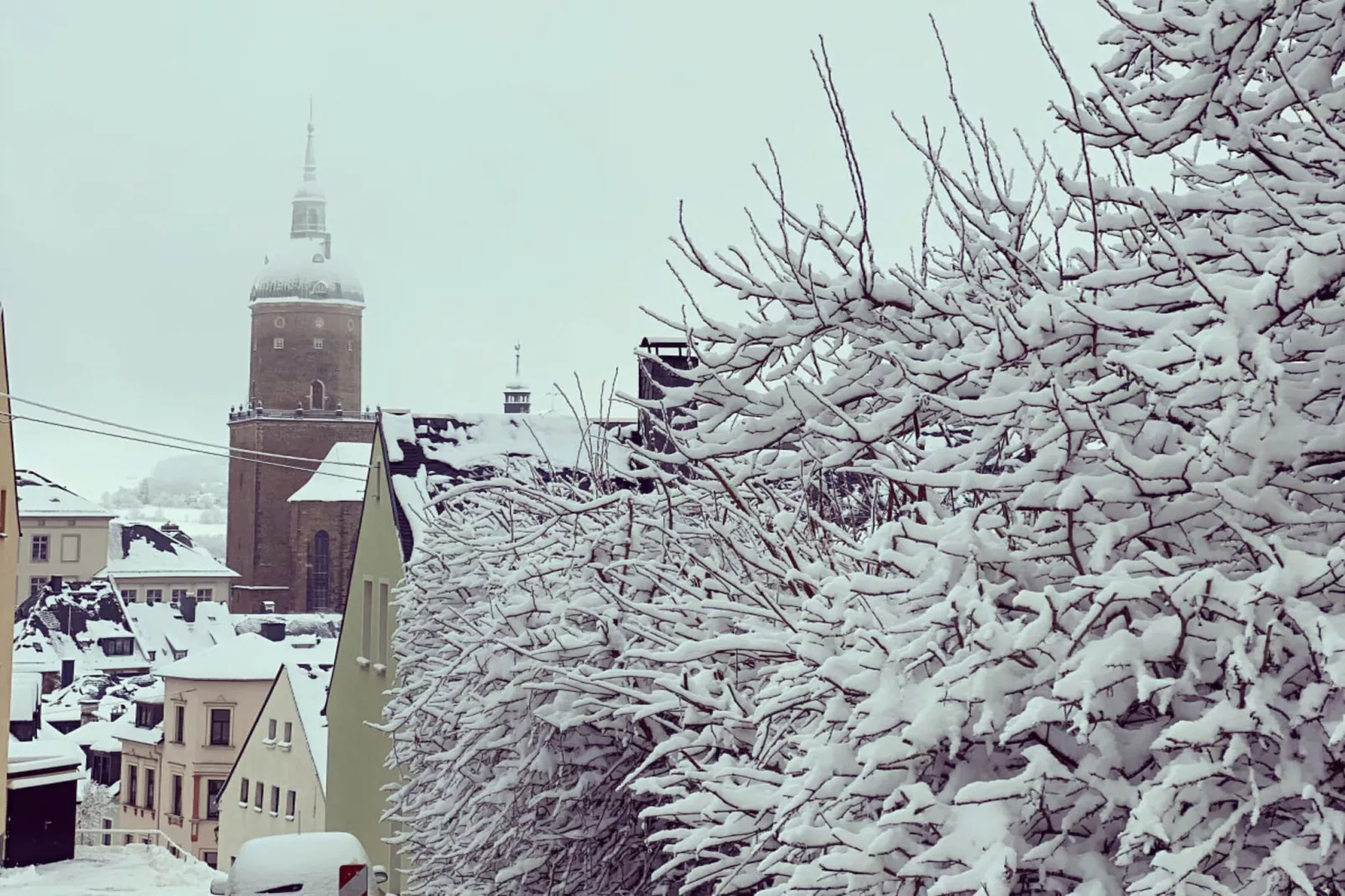 311181 - Gebiet Winter 1 km