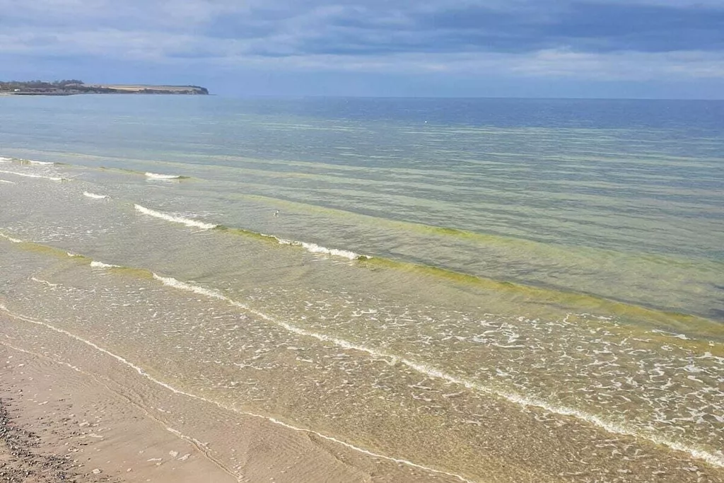 138736 - Untagged