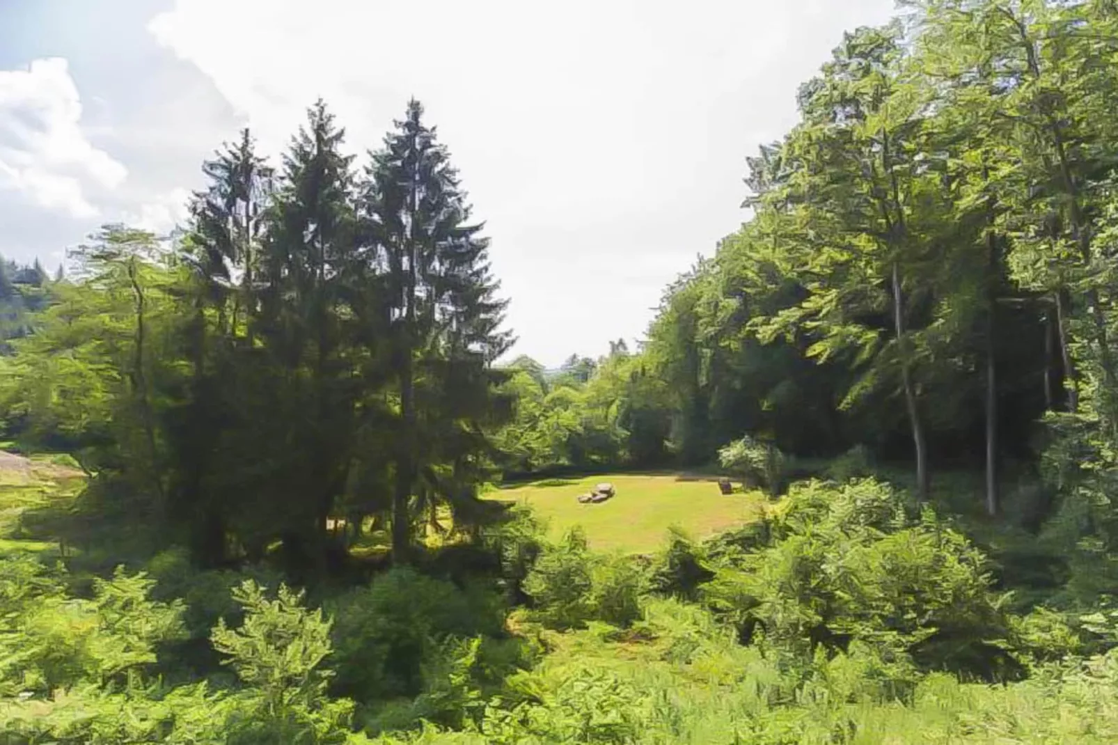 Landhuis la Forêt - Areas within 5km in summer