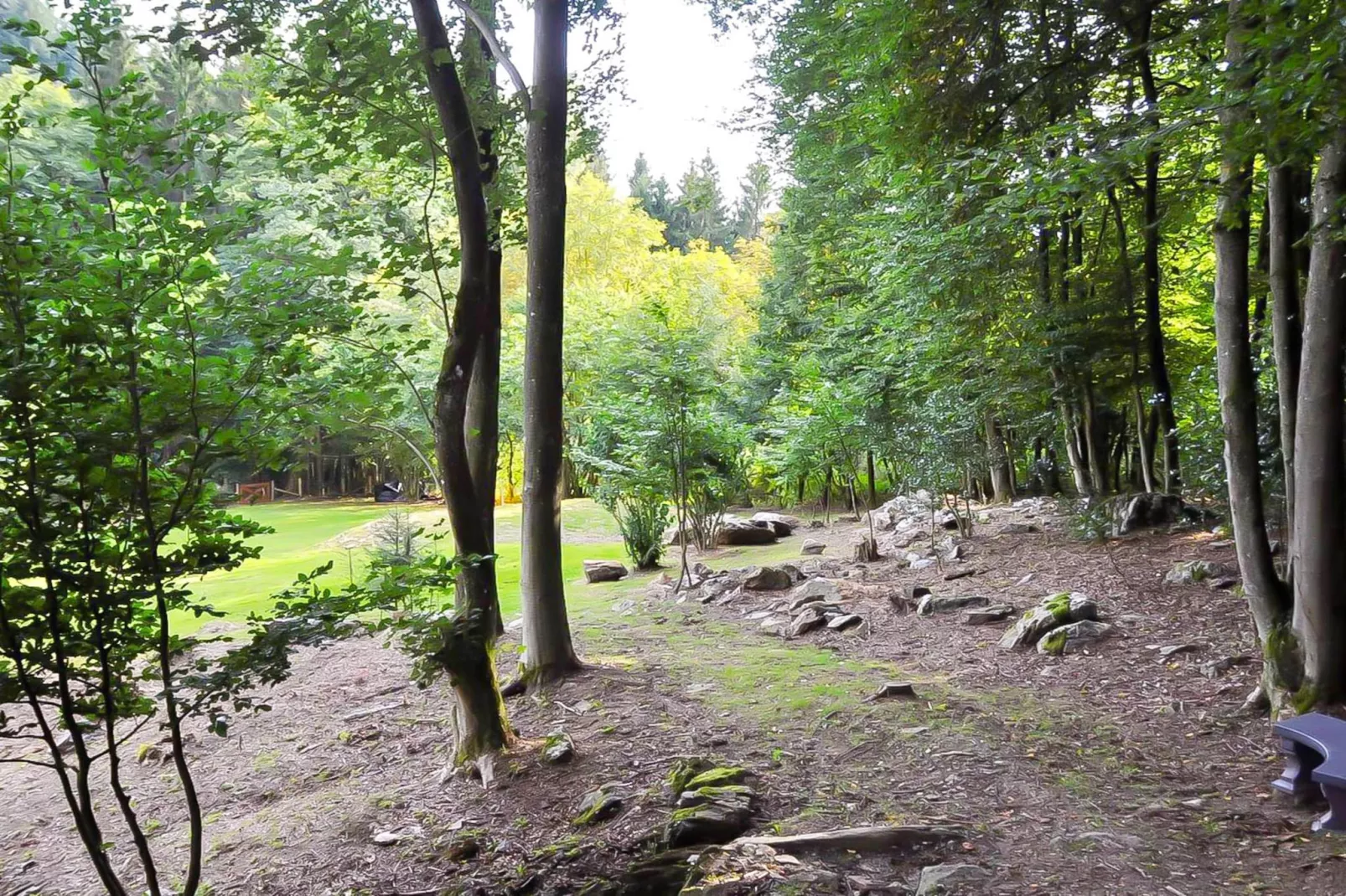 Landhuis la Forêt - Areas within 5km in summer