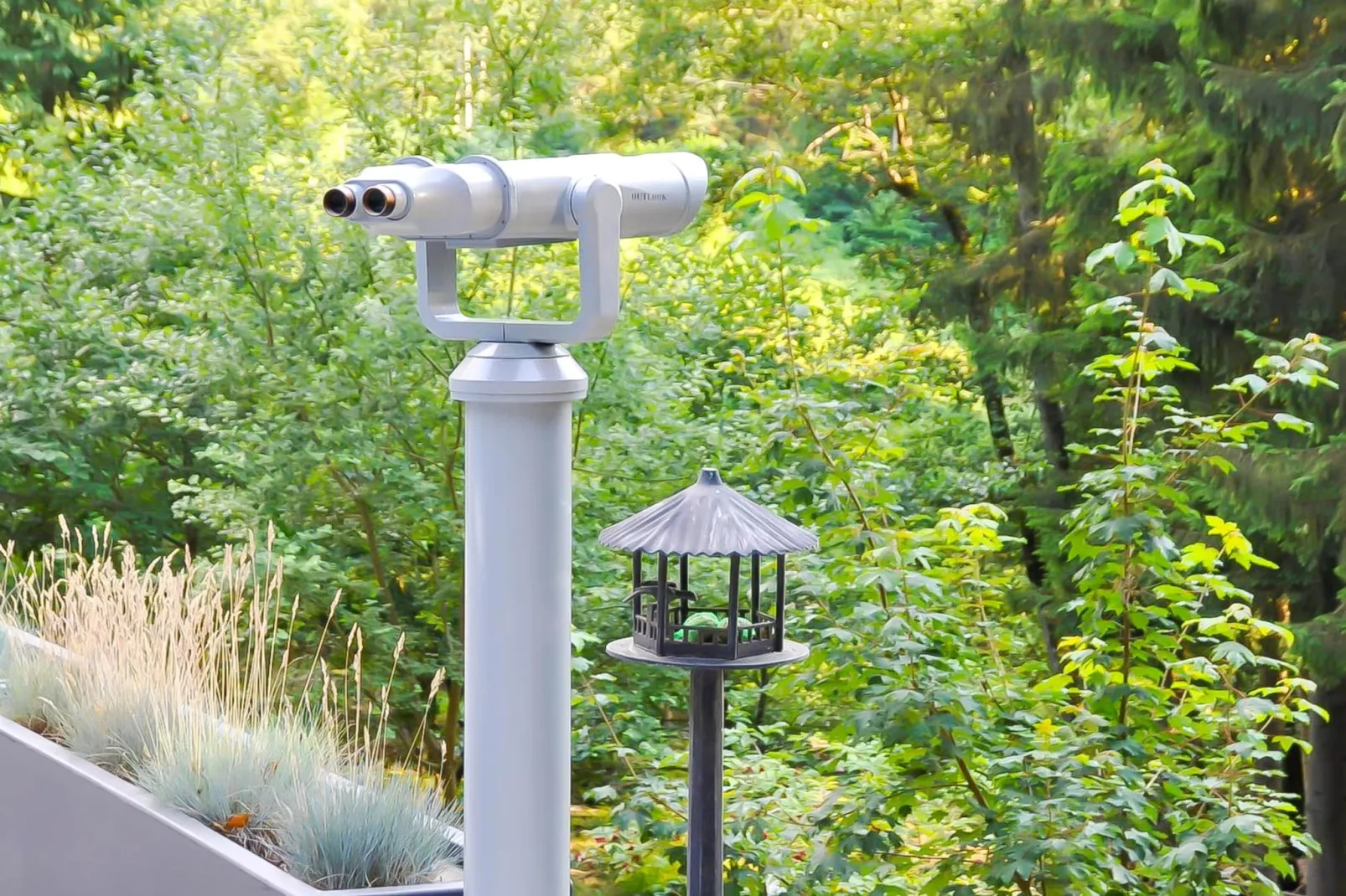 Landhuis la Forêt - Ambiance