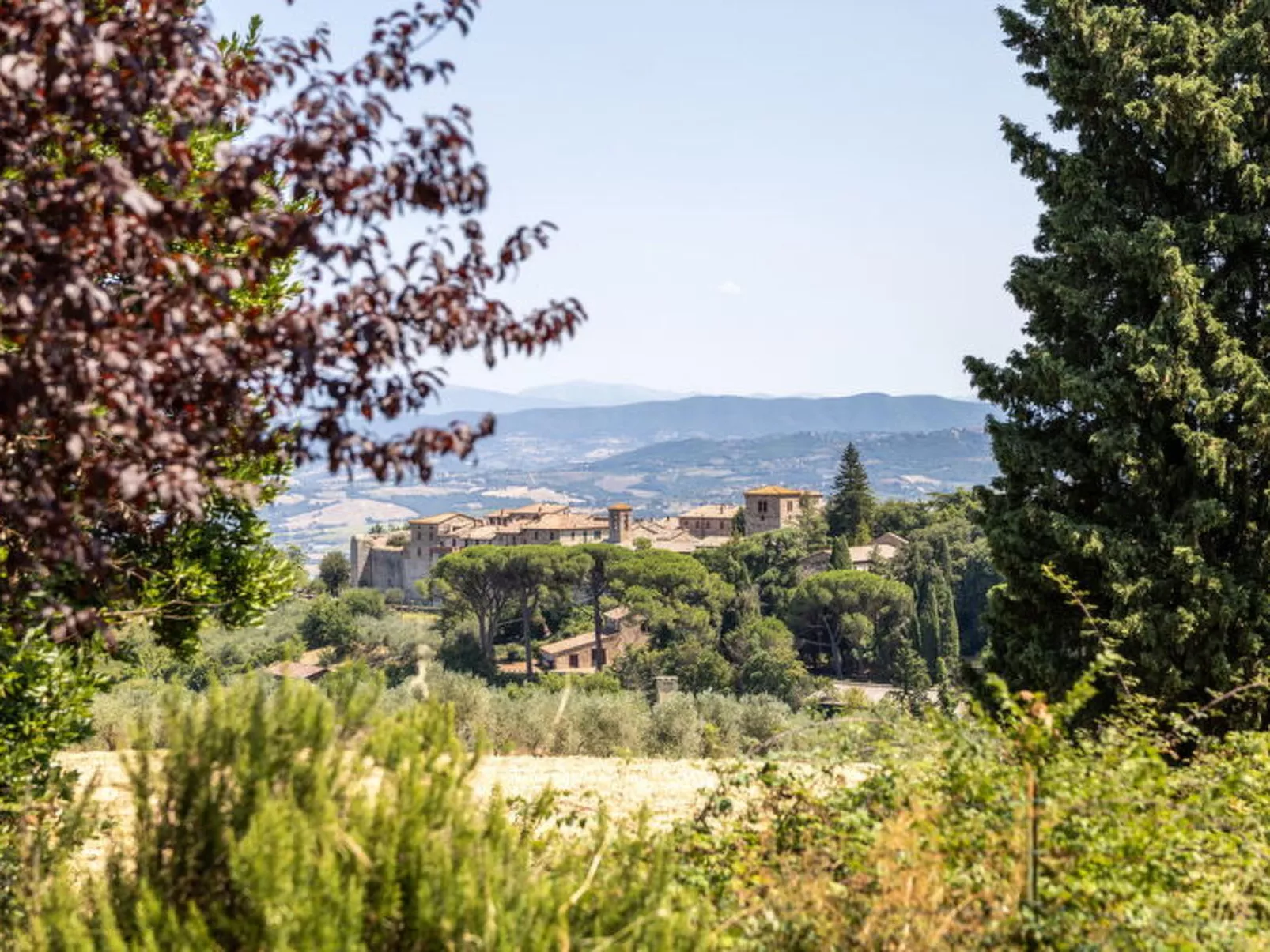 Poggio Padule - Draußen