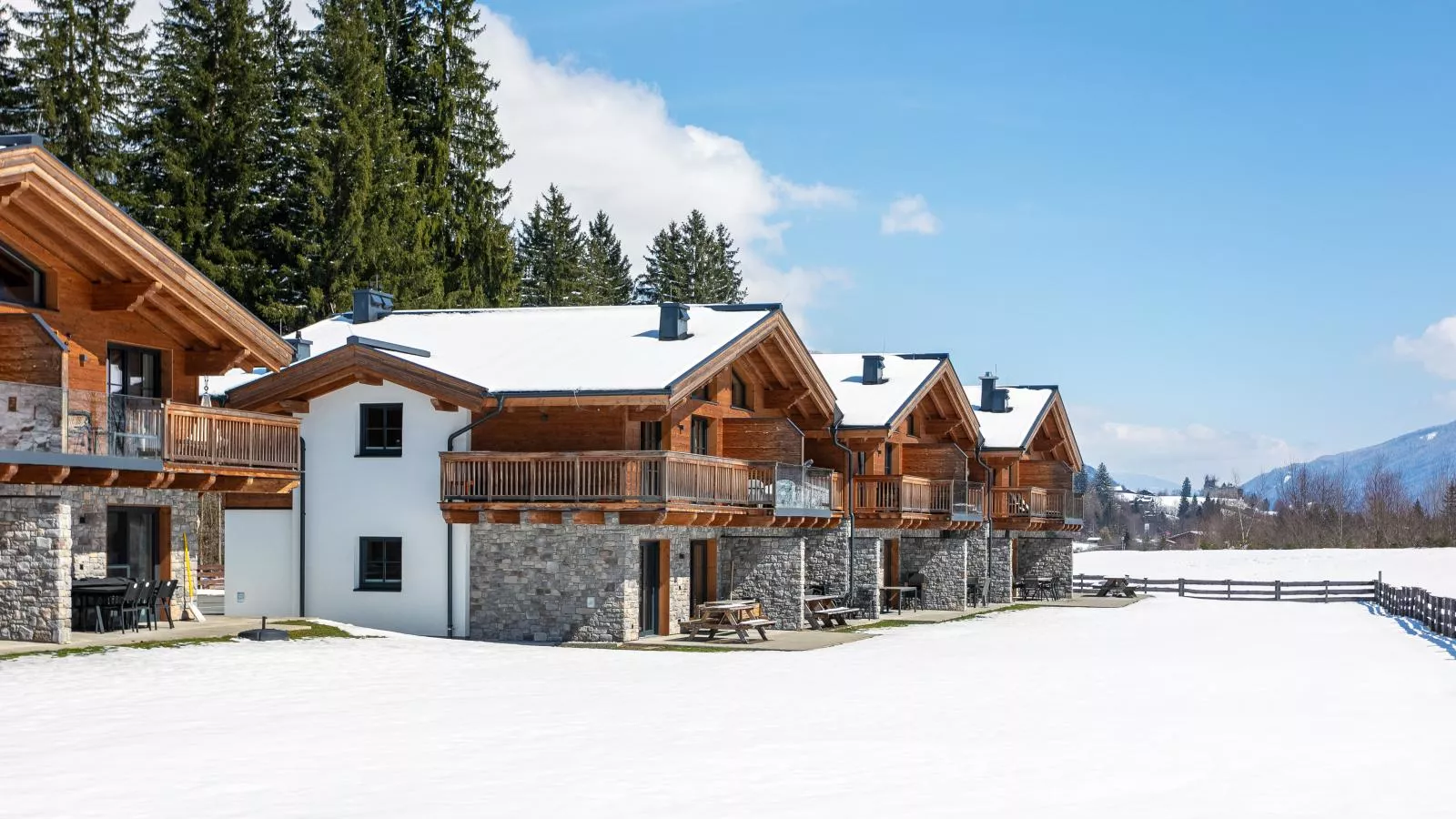 FIIF Pinzgau - Exterior in winter