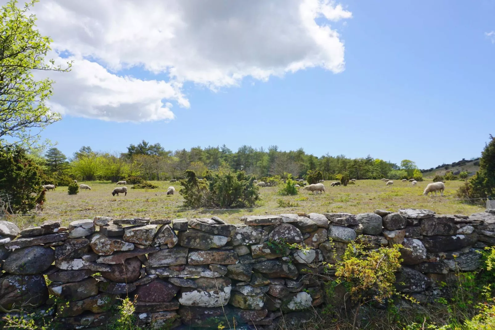 4 Personen Ferienhaus in Hemse - Nicht zugeordnet