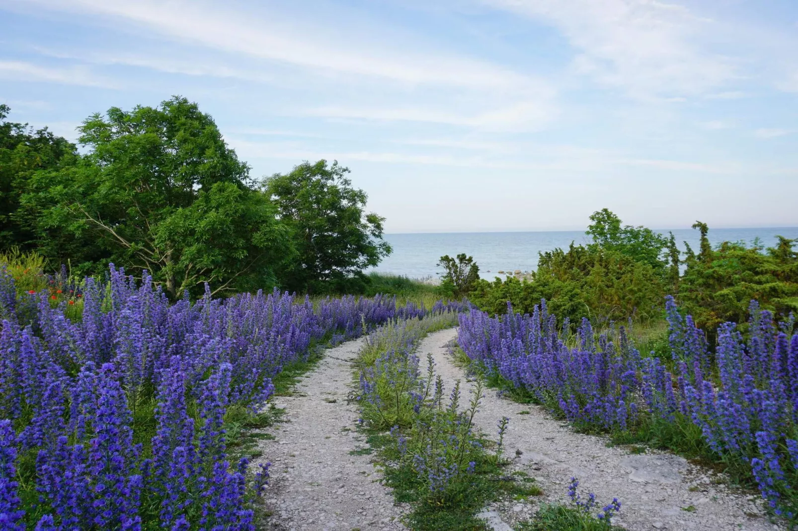 4 Personen Ferienhaus in Hemse - Nicht zugeordnet