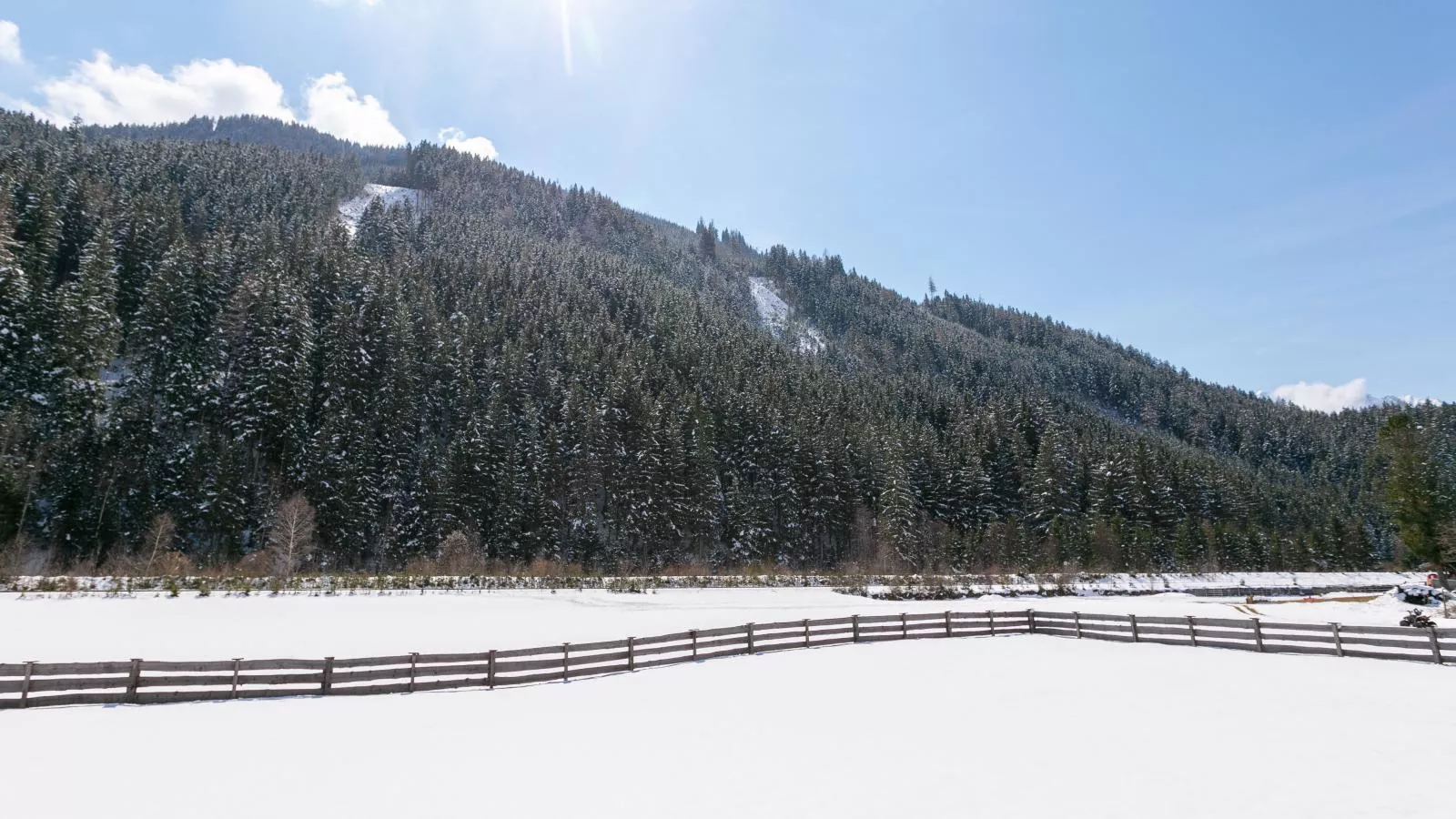 FIIF Pinzgau - View in winter