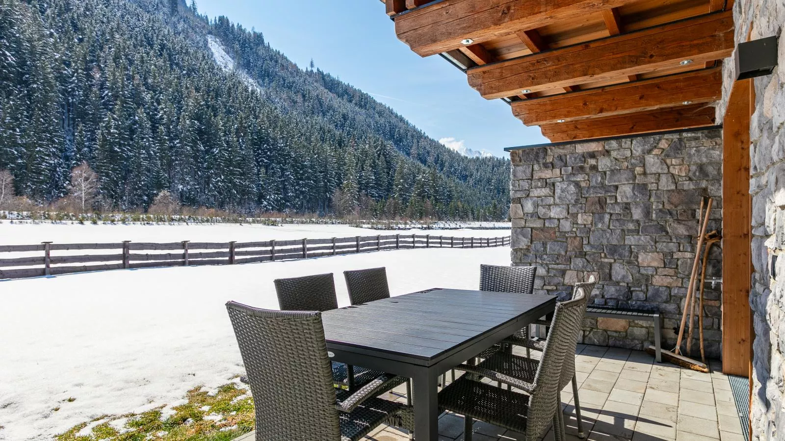 Pinzgau Lodge 2D - Garden in winter