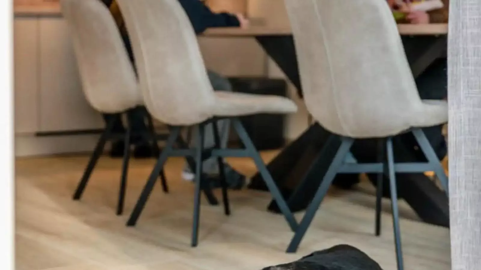 Het Groene Dak - Esszimmer