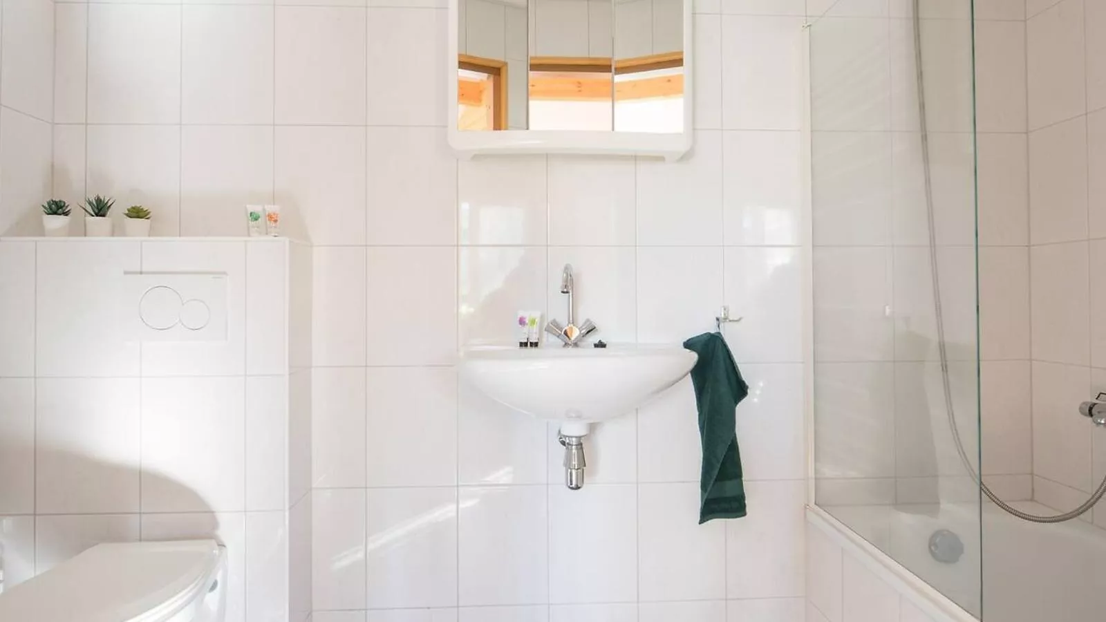 De Visvijver - Badezimmer