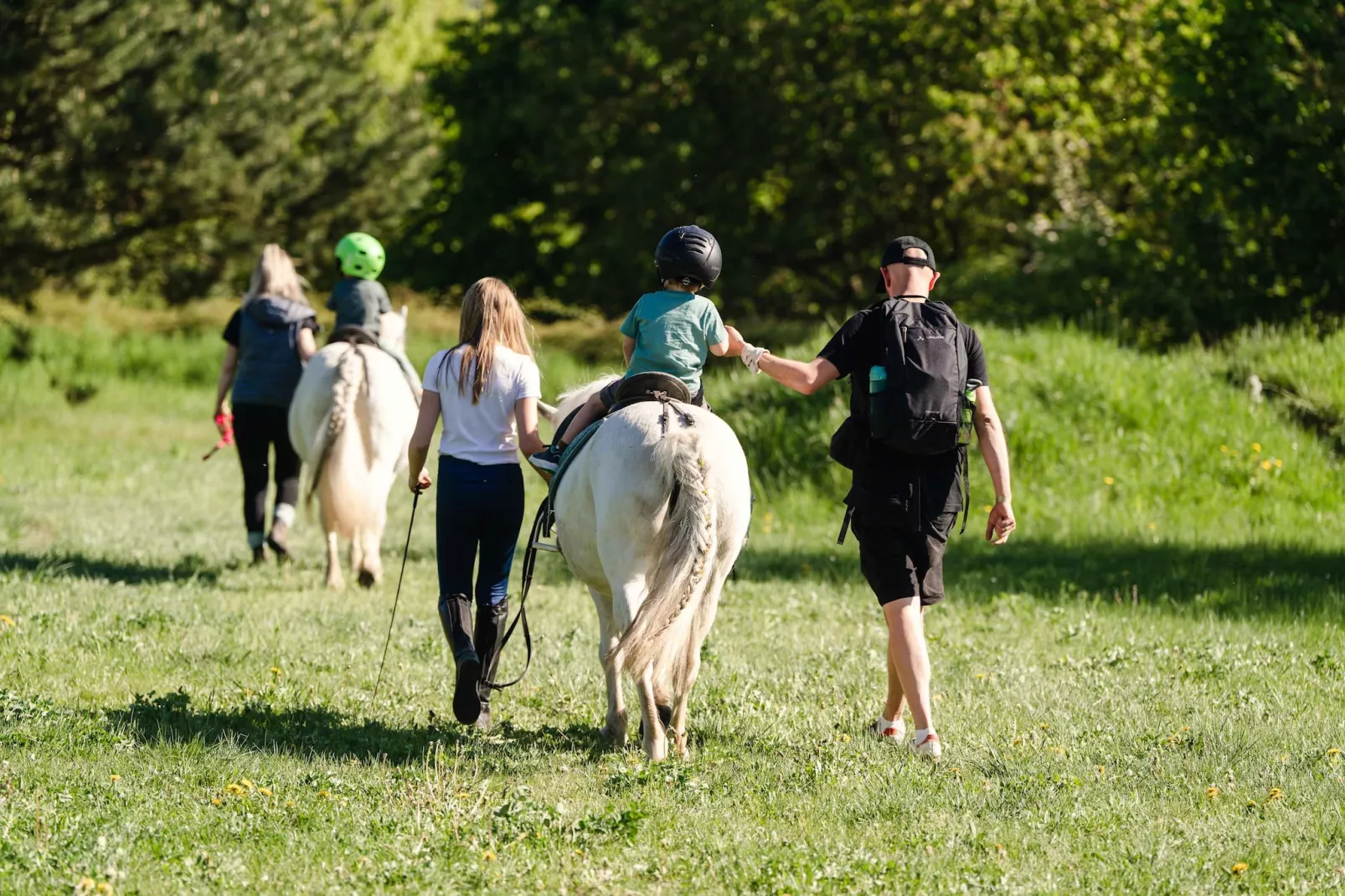 TH2 1P+40€(5) Schulz - Areas within 5km in summer