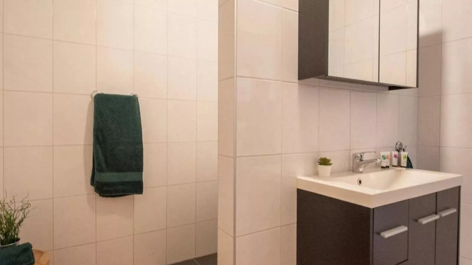 Het Heidenest - Bathroom