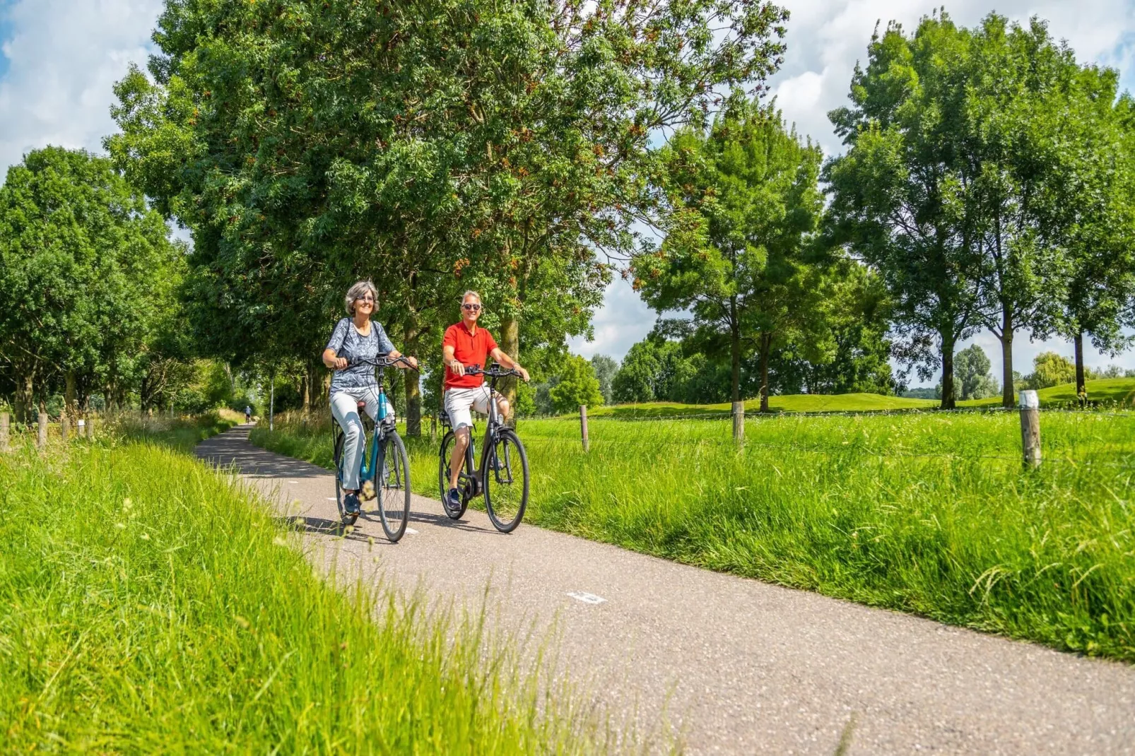 Resort aan de Maas 1-Gebiete Sommer 1 km