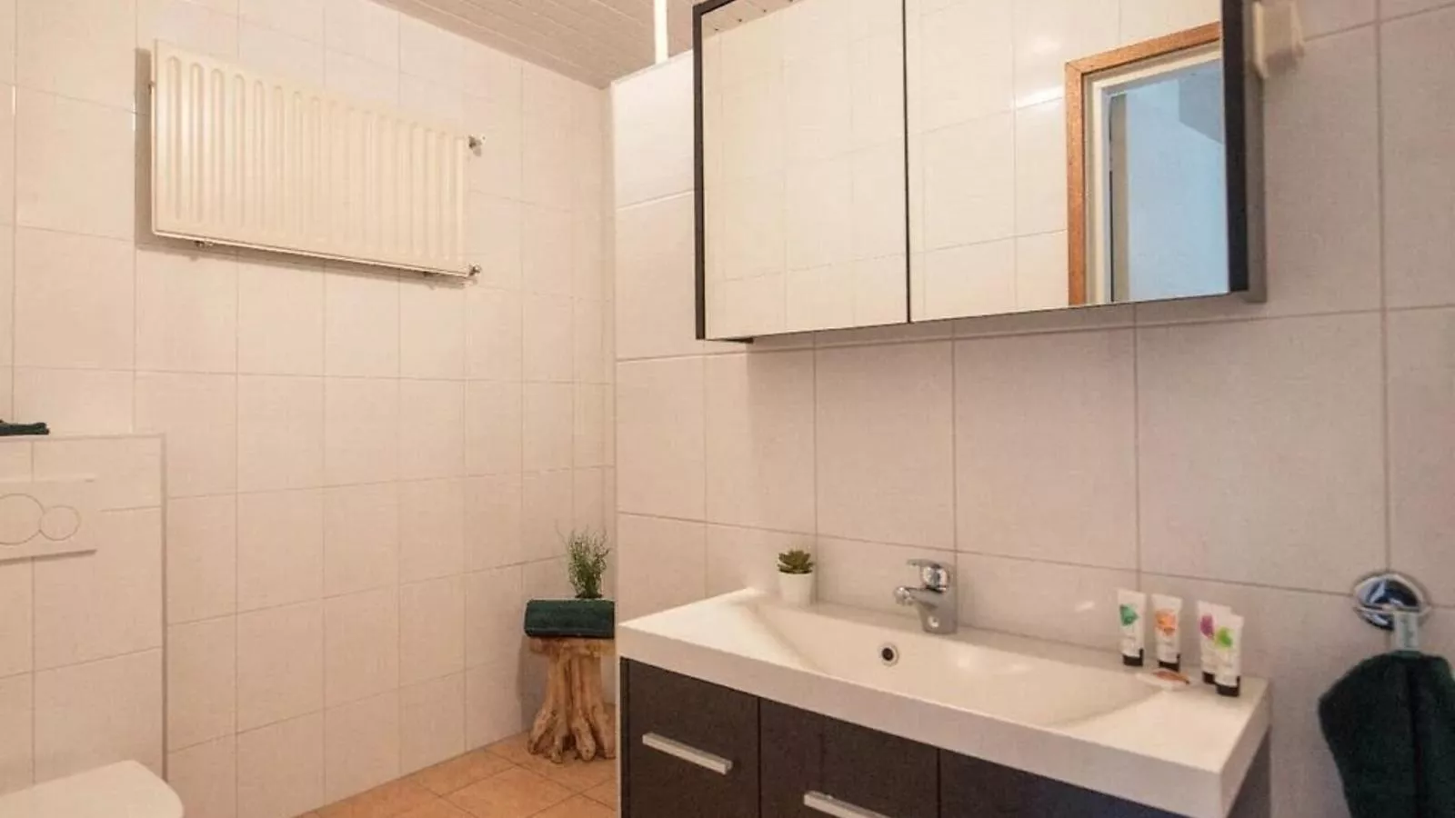 Het Heidenest - Bathroom