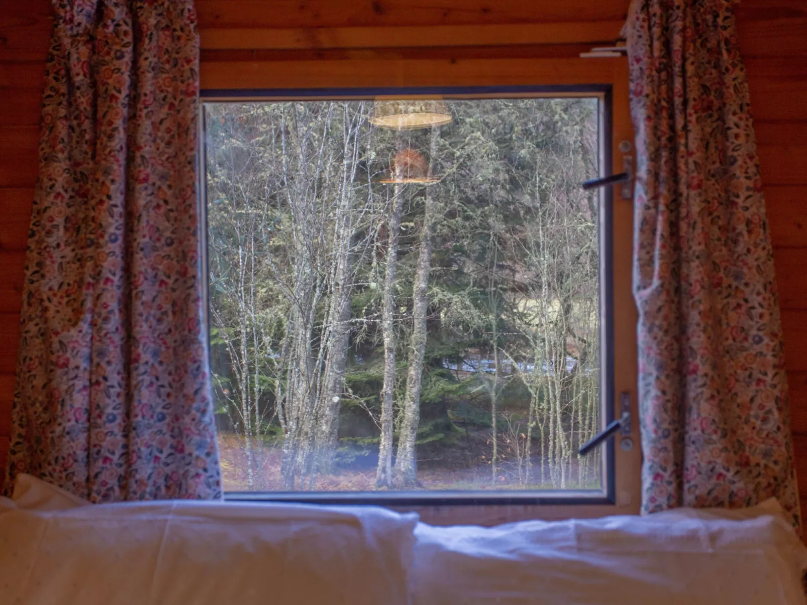 Birch Rowan Combi - Outside