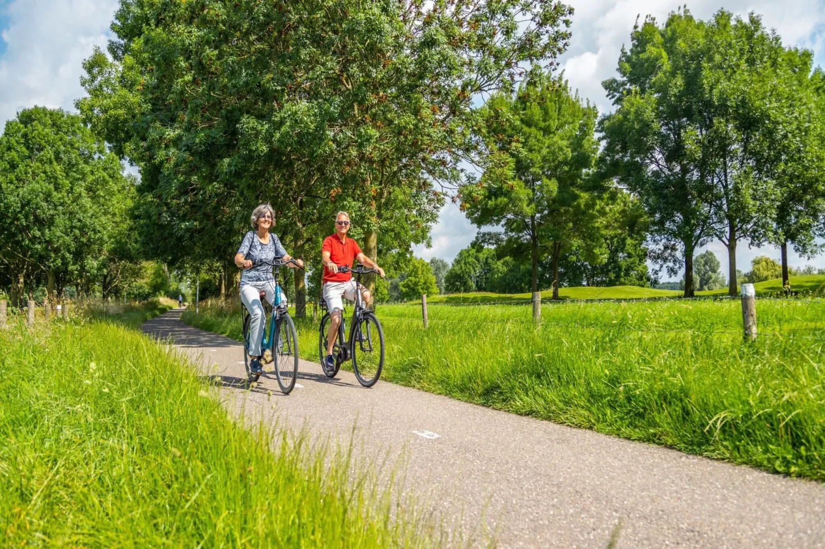Resort aan de Maas 4-Gebiete Sommer 1 km