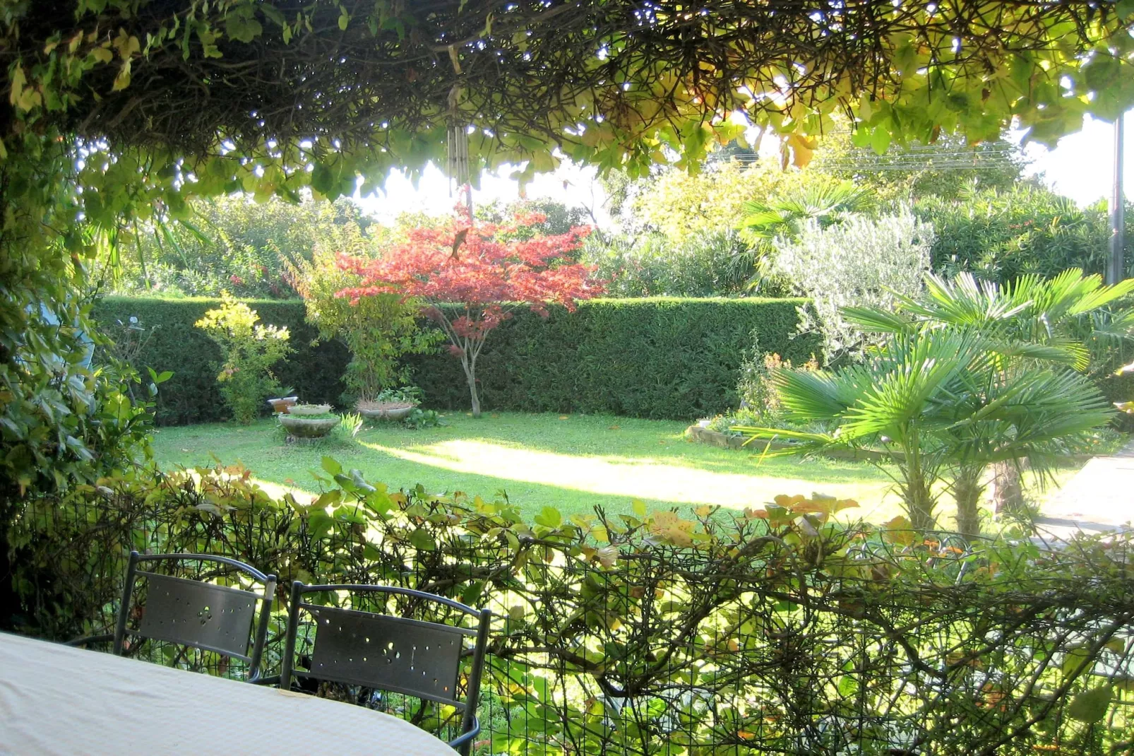 Villa Serena - Gardens in summer