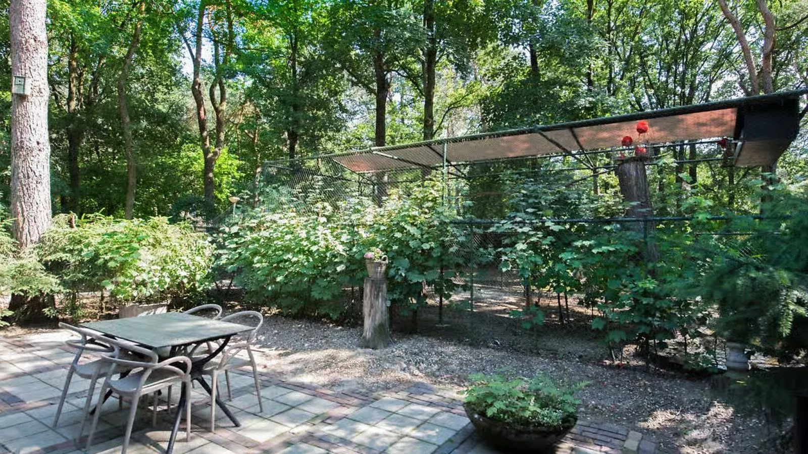 De Rode Ibis - Garten Sommer