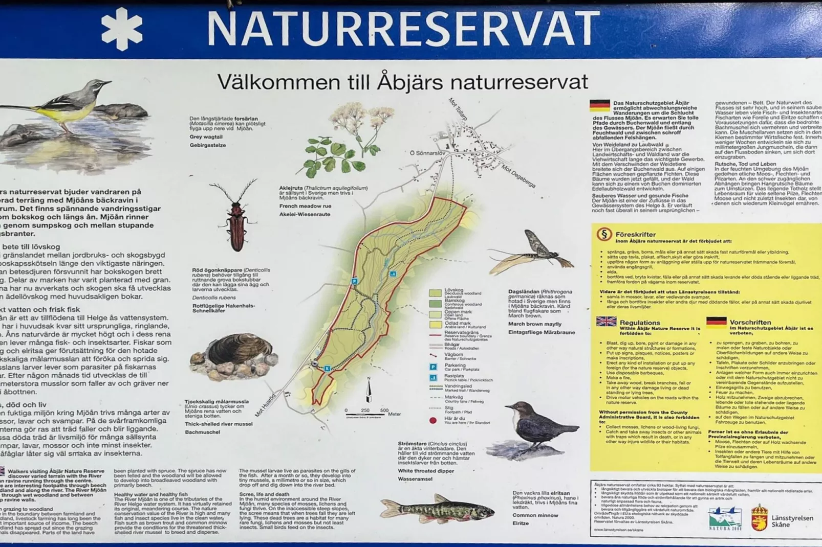 4 etoiles maison de vacances a YNGSJÖ, SVERIGE - Non tagué