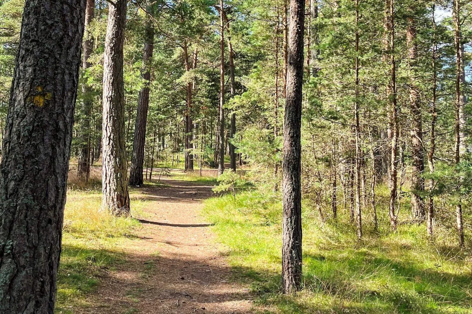 4 etoiles maison de vacances a YNGSJÖ, SVERIGE - Non tagué