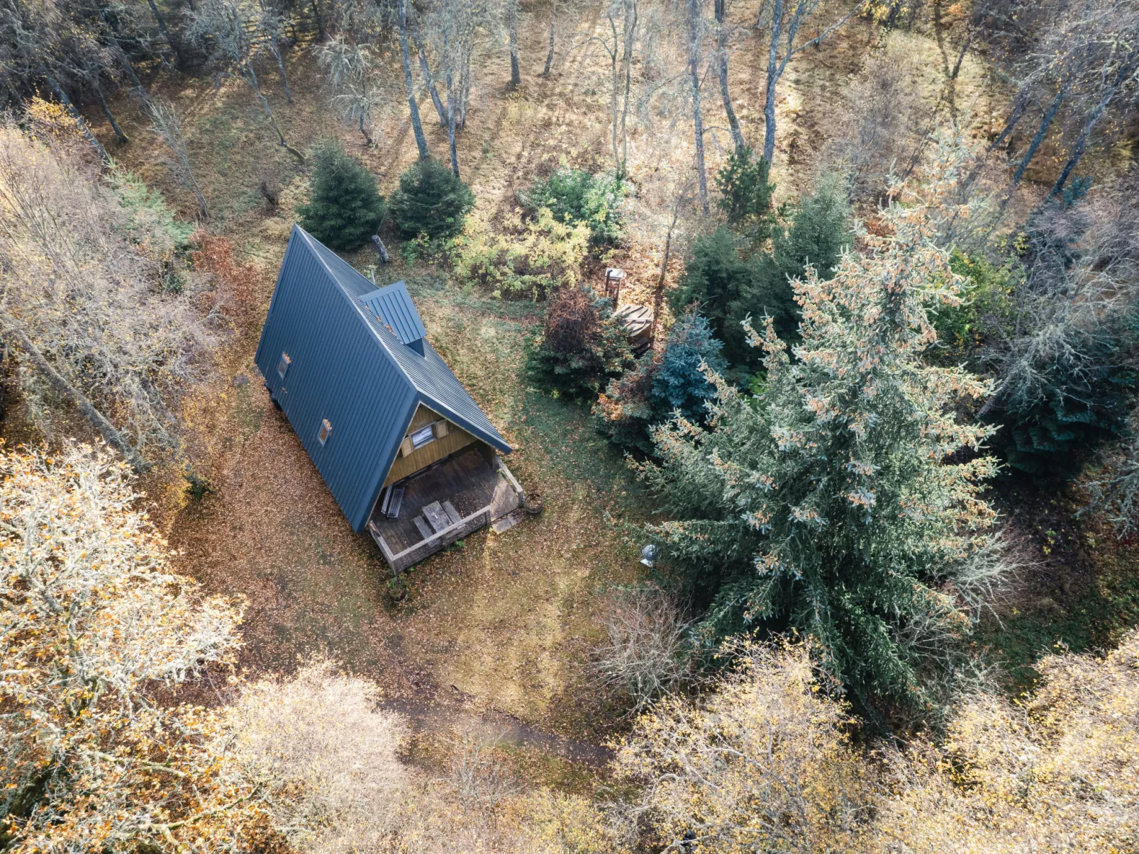 Birch Rowan Combi - Outside