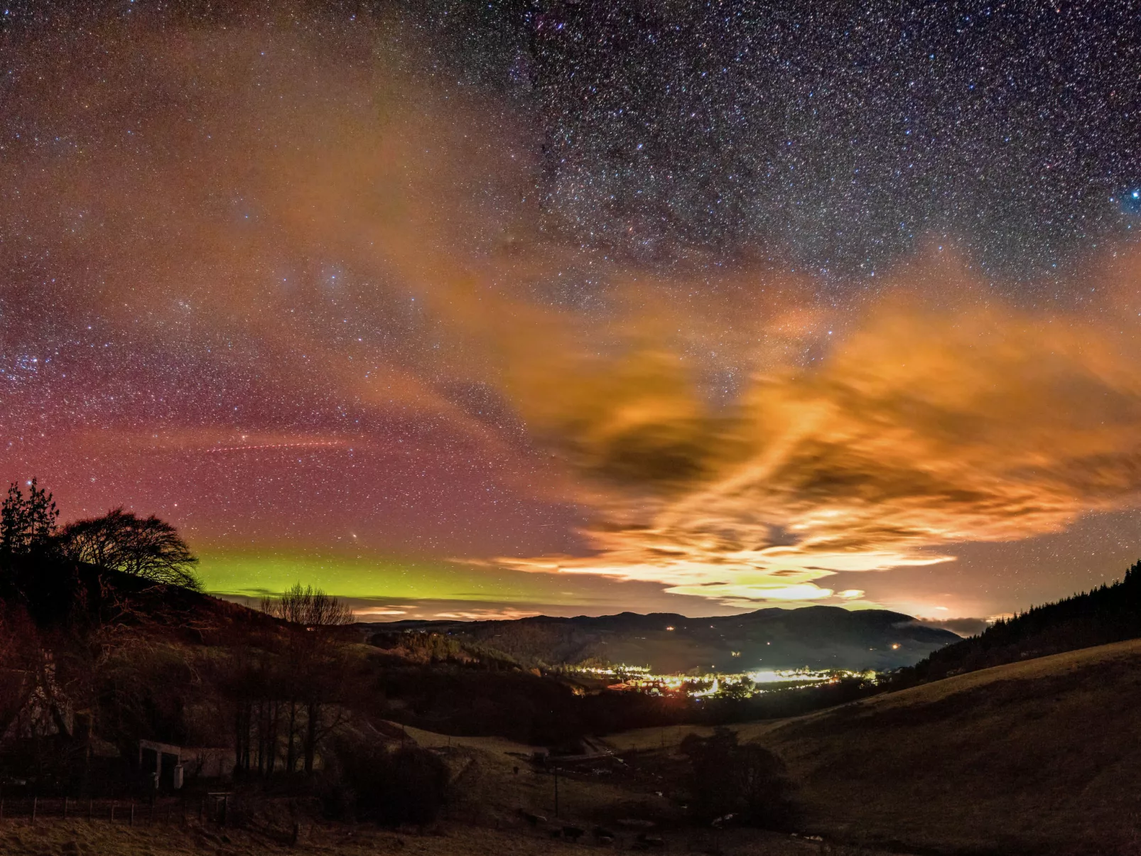 Birch Rowan Combi - Area