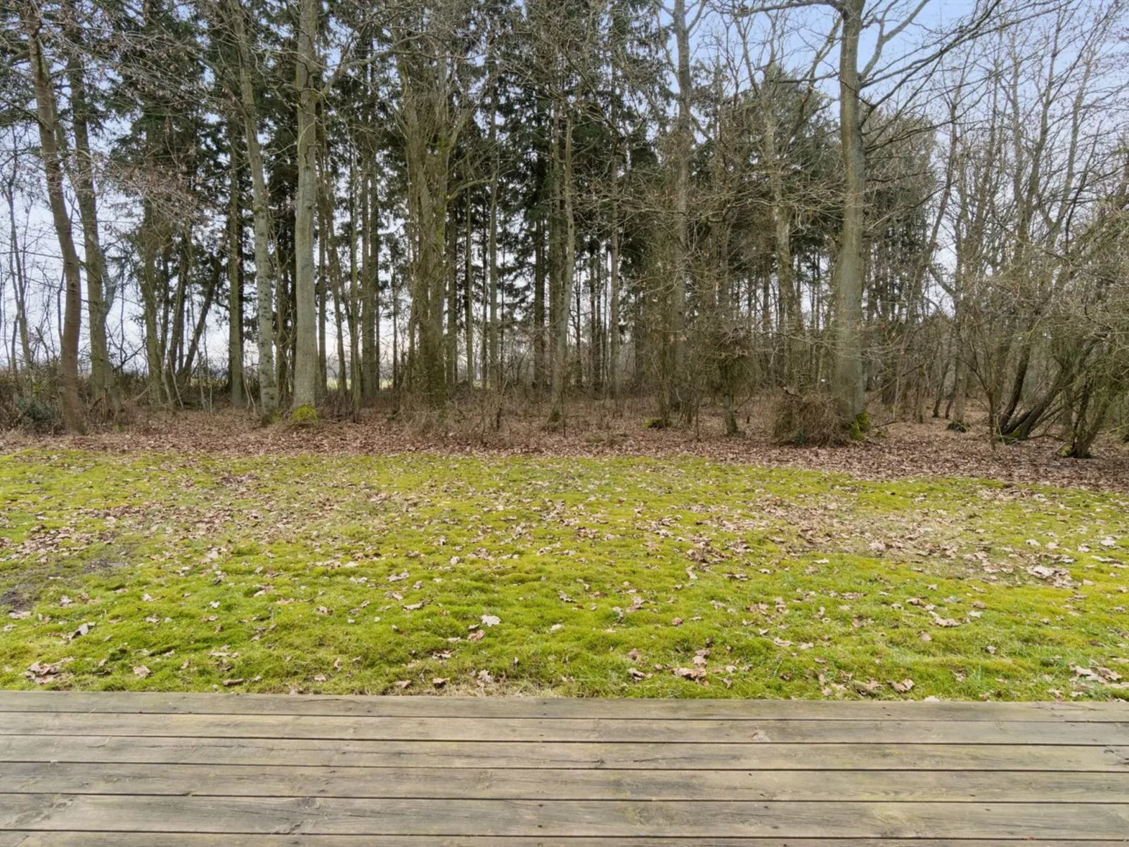 "Aarre" - 1km from the sea - Draußen