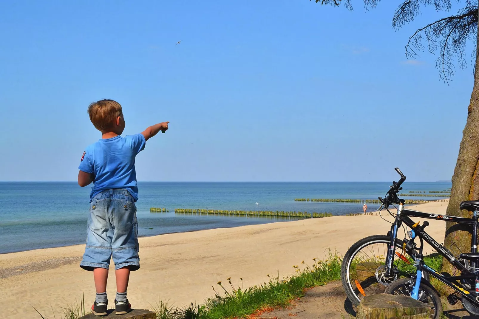 Mieszkanie wakacyjne dla 6 osób sauna w cenie Kołobrzeg-Areas summer 5km