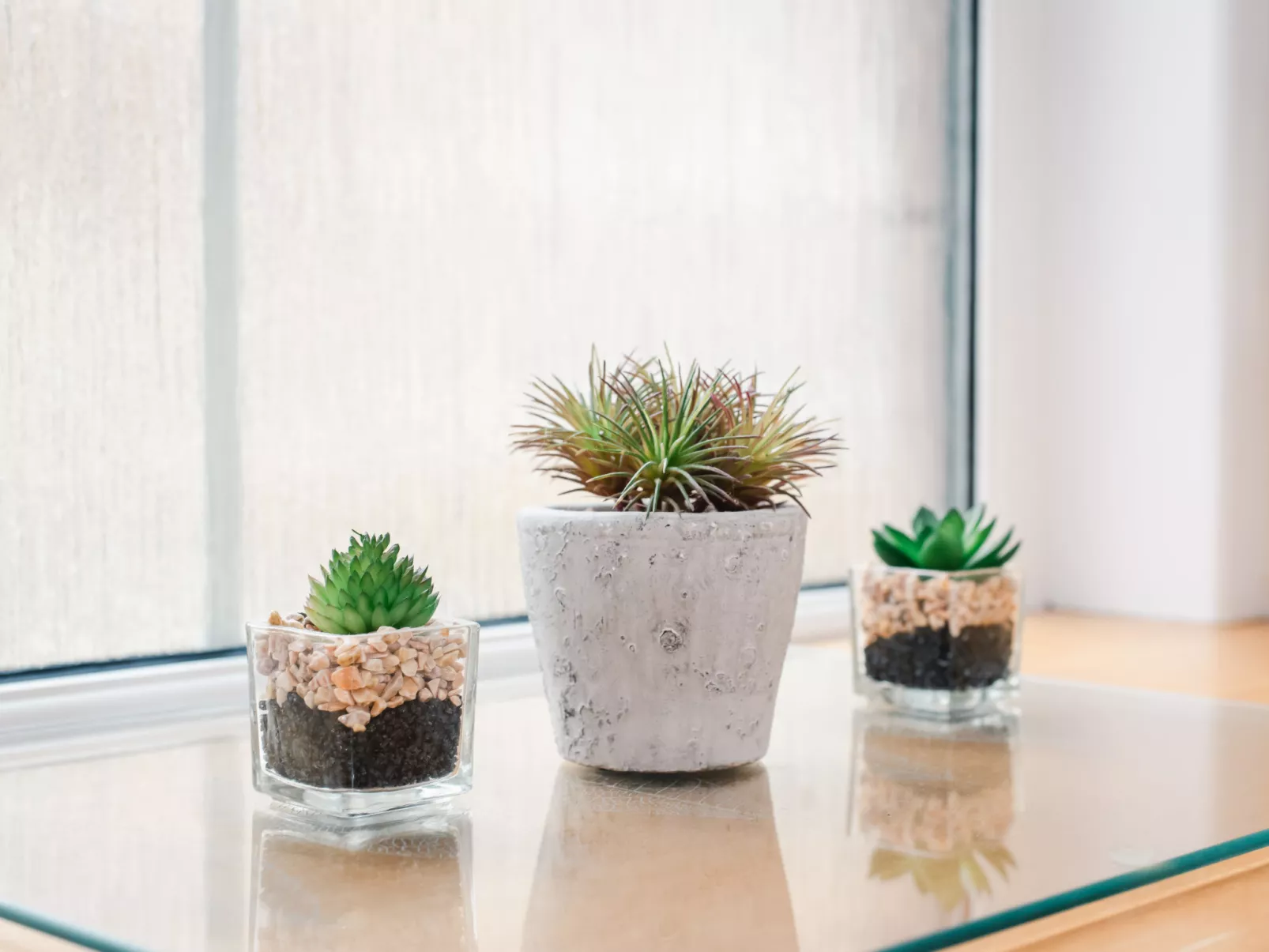 Old Stable & Dairy Combi - Drinnen