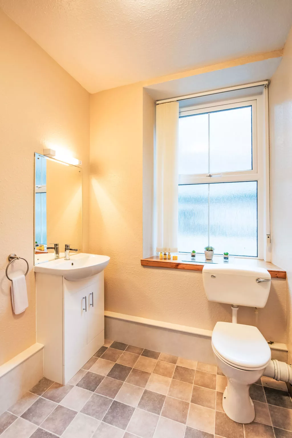 Old Stable & Dairy Combi - Drinnen