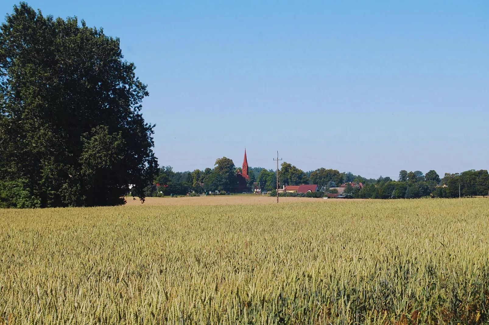 Dom wakacyjny z basenem dla 7 osób Sieciemin-Areas summer 5km
