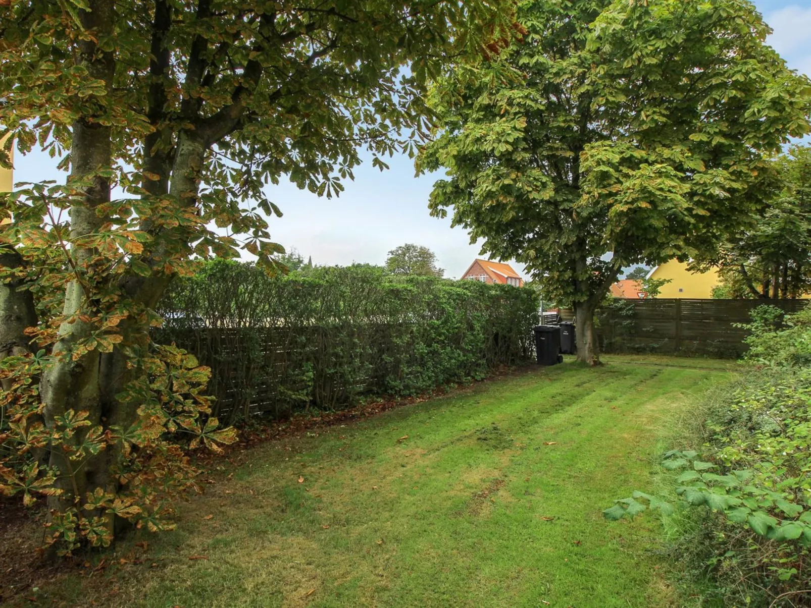 "Starki" - 800m from the sea - Draußen