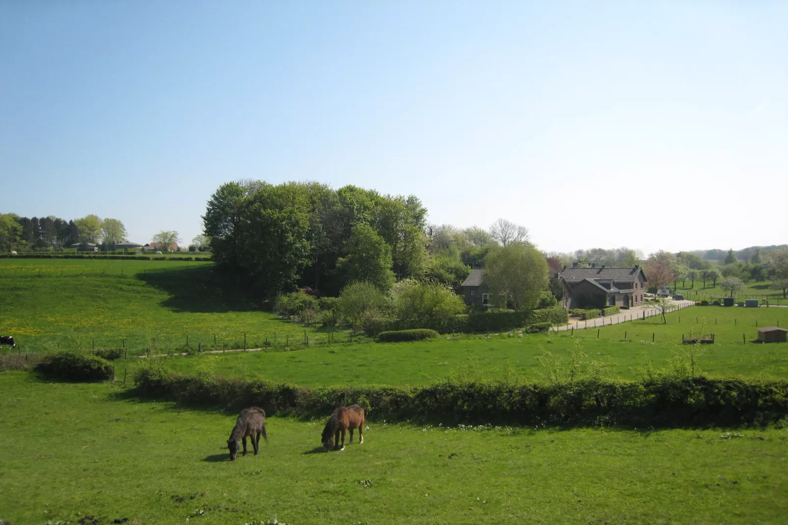 Honthem - Gebiete Sommer 1 km
