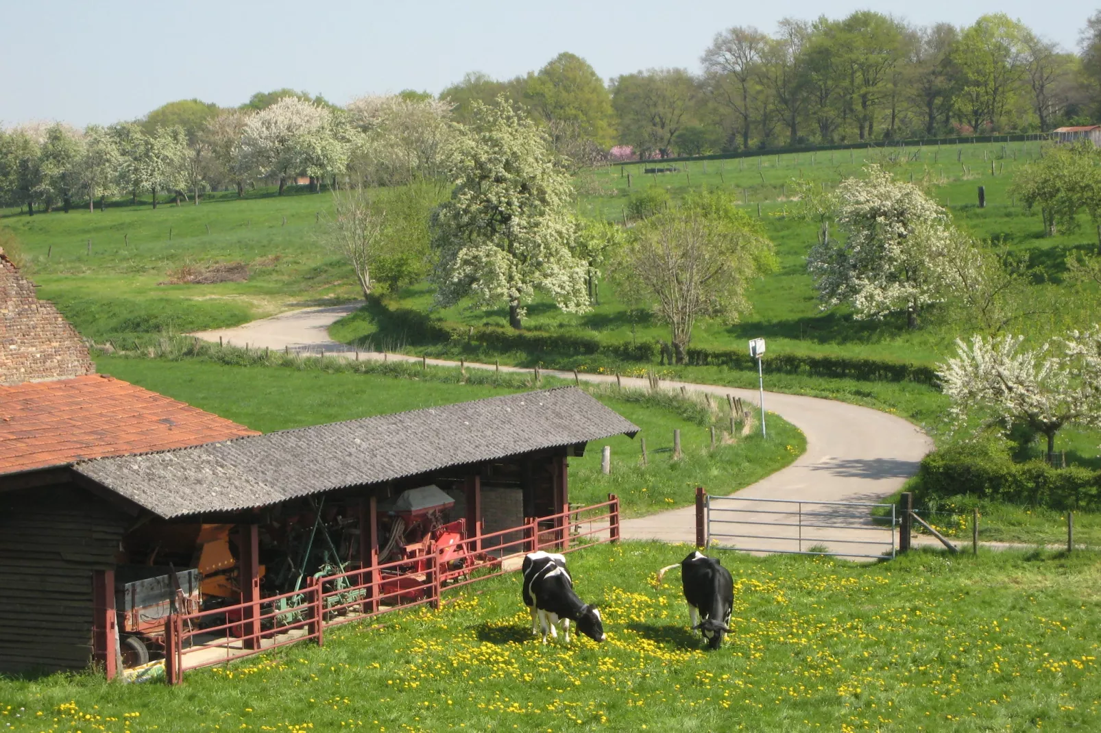 Honthem - Gebiete Sommer 1 km