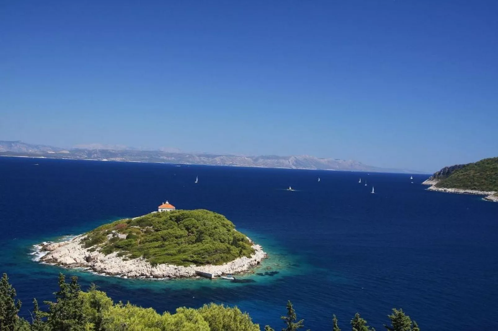 Apartments Katarina - Two Bedroom Apartment with Terrace (A1) - Ambiente