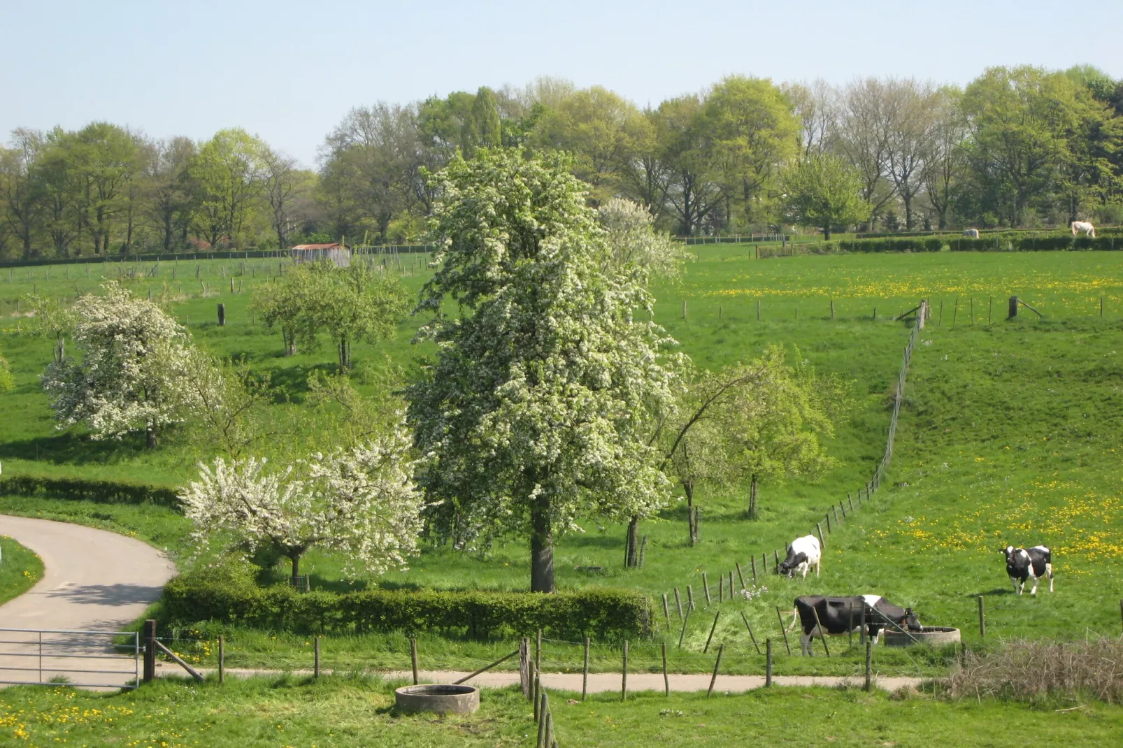 Honthem - Gebiete Sommer 1 km