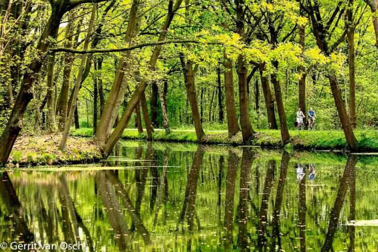 Honthem - Gebiete Sommer 20 km