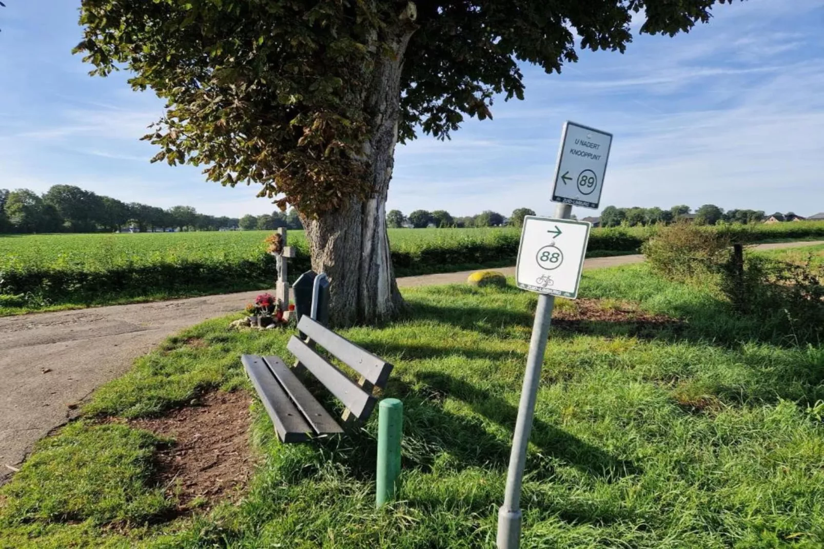 Honthem - Gebiete Sommer 20 km