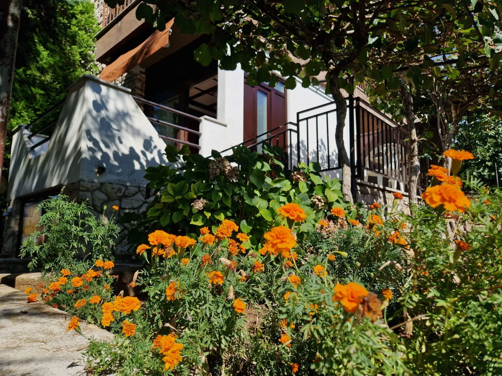 Apartment 2390 - Draußen